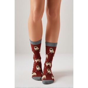 Happy Tails fawn Pug socks